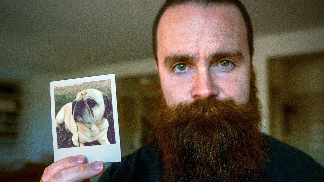 A Journey of Grief, Reflection, and Rediscovery