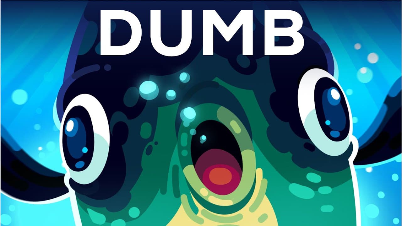 The Sunfish: A Marvel of Absurd Evolution