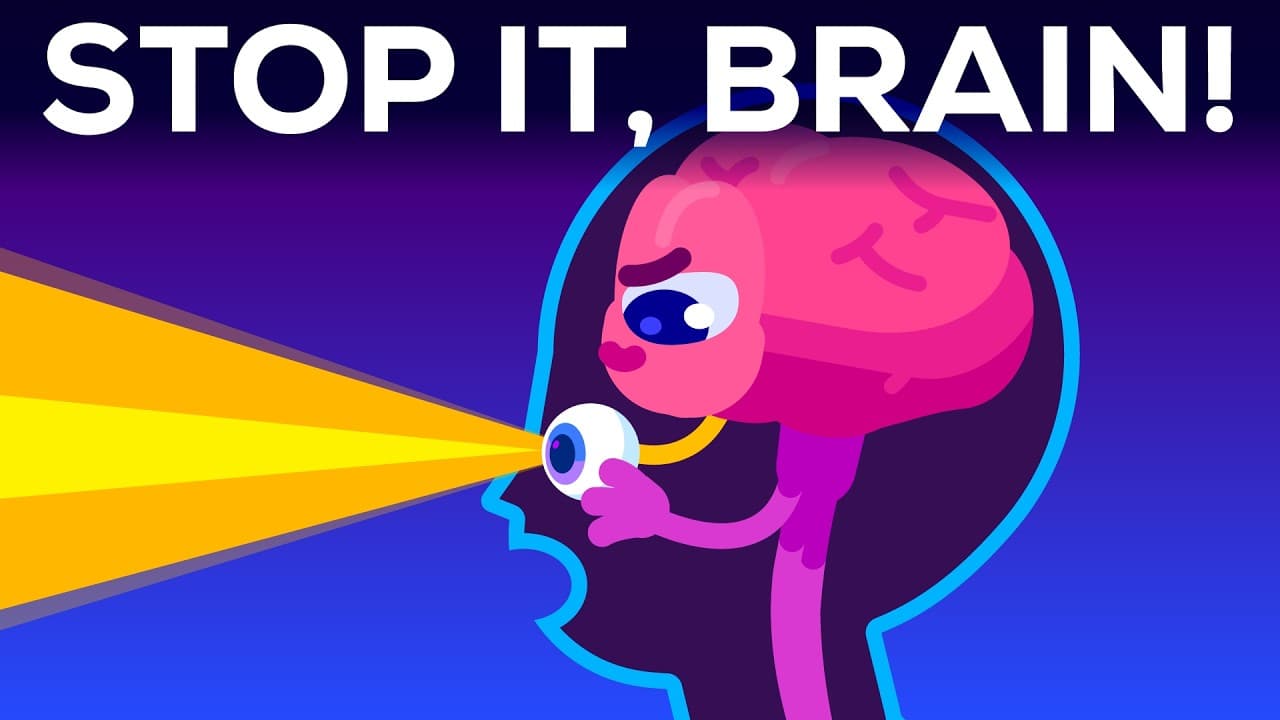 واقعیت ساخته شده توسط مغز: چگونه ذهن شما تجربه را پیش‌بینی و شکل می‌دهد